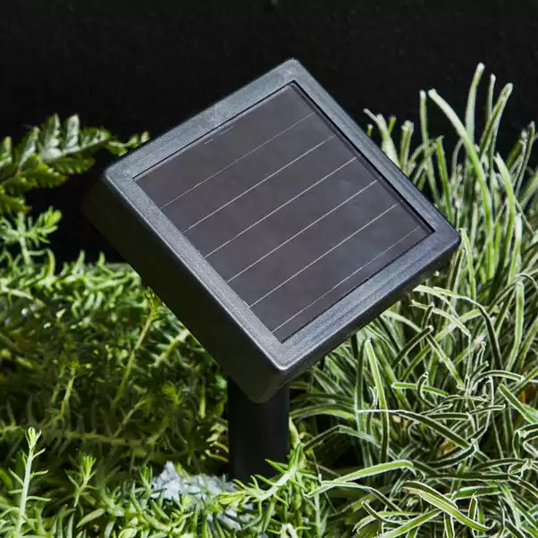 Dunelm Starburst Solar Outdoor Stake Lights 4 Dunelm Starburst Solar Outdoor Stake Lights - Image 4