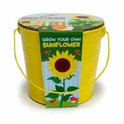 Churchgate Kid's Grow Your Own Sunflowers Kit -outdoor lighting Sales Store 1000183725 alt02