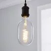 Status Haines Oval Filament Bulb Clear