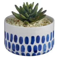 Dunelm Coastal Dottie Mini Succulent -outdoor lighting Sales Store 30729960 alt02