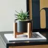 Dunelm Black Pot On A Wooden Stand With Plant