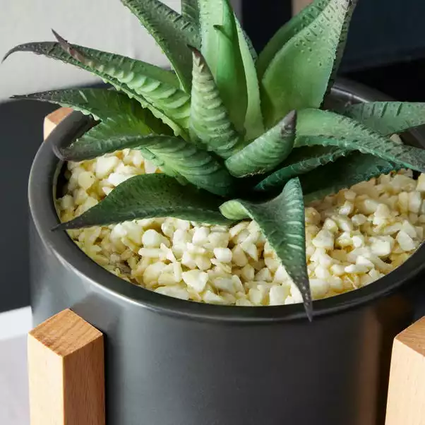 Dunelm Black Pot On A Wooden Stand With Plant 2 Dunelm Black Pot On A Wooden Stand With Plant - Image 2