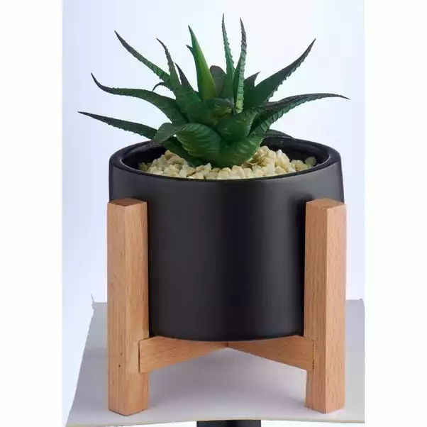 Dunelm Black Pot On A Wooden Stand With Plant 3 Dunelm Black Pot On A Wooden Stand With Plant - Image 3