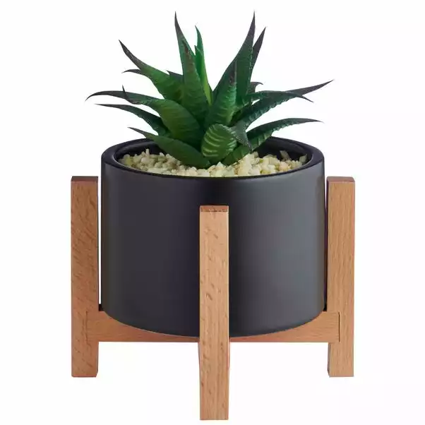 Dunelm Black Pot On A Wooden Stand With Plant 4 Dunelm Black Pot On A Wooden Stand With Plant - Image 4