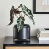 Dunelm London Black Framed Planter