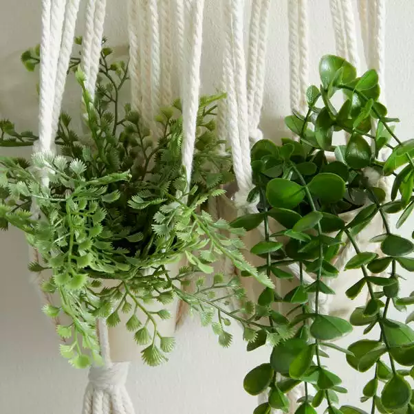 Dunelm Hanging Macrame Double Planter 3 Dunelm Hanging Macrame Double Planter - Image 3