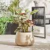 Dunelm Large Beige Fibre Clay Pot With Bamboo Finish