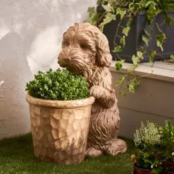 Dunelm Cockapoo Planter