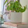 Dunelm Grey Ceramic Plant Pot