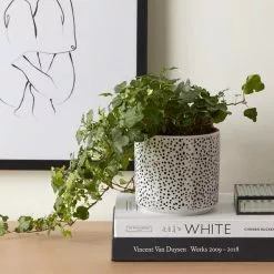 Dunelm Ceramic Dotty Plant Pot