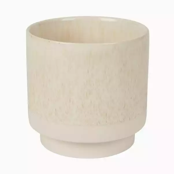 Dorma Purity Plant Pot Cream 15cm 3 Dorma Purity Plant Pot Cream 15cm - Image 3