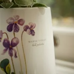 Natural History Museum Marsh Violet Ceramic Plant Pot -outdoor lighting Sales Store 30757824 alt02