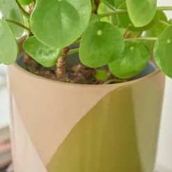 Elements Sculpted Green Plant Pot On Stand -outdoor lighting Sales Store 30765431 alt02