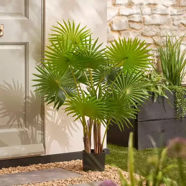 Dunelm Fan Palm Tree 100cm 1 Dunelm Fan Palm Tree 100cm