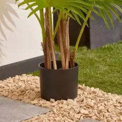 Dunelm Fan Palm Tree 100cm 5 Dunelm Fan Palm Tree 100cm -outdoor lighting Sales Store 30792753 alt02