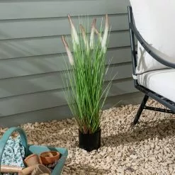 Dunelm Foxtail Potted Grass 80cm
