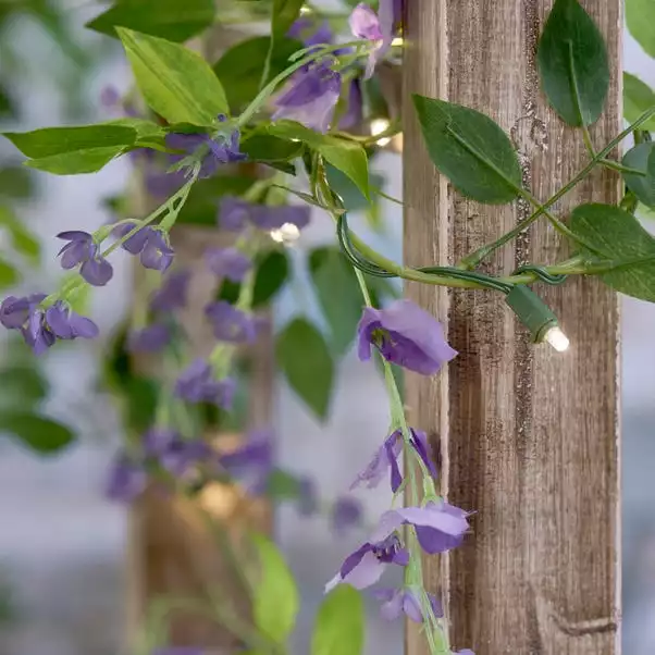 Dunelm Wisteria Solar Light Up Garland 2 Dunelm Wisteria Solar Light Up Garland - Image 2
