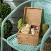 Dunelm Seeds Storage Box