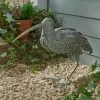 Dunelm Metal Curlew Bird