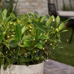 Dunelm 100 LED Battery Timer Chain Lights White