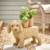 Dunelm Cockapoo Plant Pot Stand