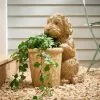 Dunelm Cockapoo Planter