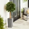 Dunelm Bay Tree In Anthracite Pot 120cm
