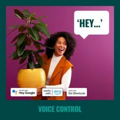 WiZ Connected WiZ 48ft Smart Ambient Outdoor String Lights -outdoor lighting Sales Store 30838383 alt05